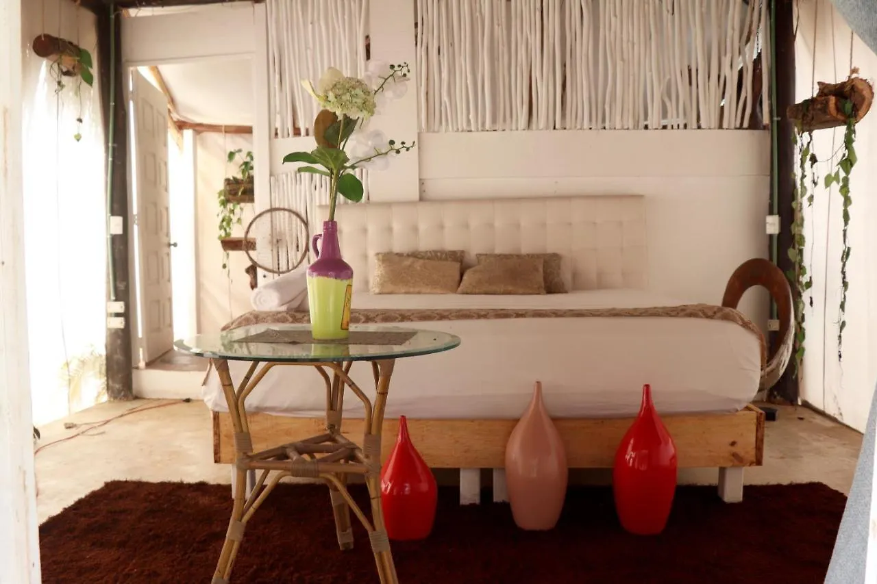 Natura Glamping Caribe Hotel Playa del Carmen Inn